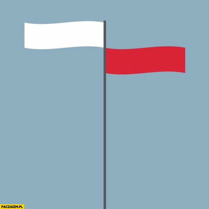 1606852345032.jpeg