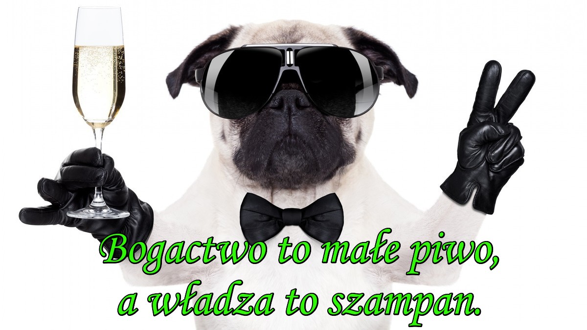 bogactwo-to-male-piwo-a-wladza-to-szampan.jpg