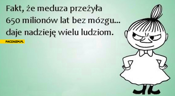 fakt-ze-meduza-przezyla-650-lat-bez-mozgu-daje-nadzieje-wielu-ludziom.jpg