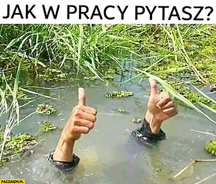 jak-tam-w-pracy-pytasz-wszystko-okej-caly-pod-woda-tylko-rece-kciuki-wystaja.jpg