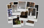collage14.jpg