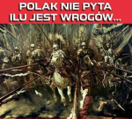 Polak nie pyta.png