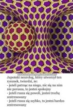 1705526229549.jpeg
