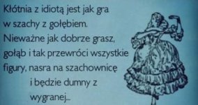 gra z gołębiem.jpg