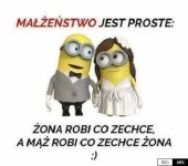 il20241105_876152489_xlarge.jpg