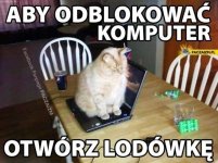63eee7f63b745_o_xlarge.jpg