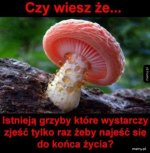 5f51fdc598208_o_xlarge.jpg