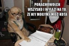 6468813ade591_o_xlarge.jpg 6468813ade591_o_xlarge.jpg