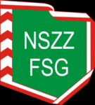 nszzfsg.png