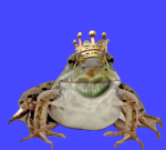 6371
