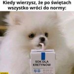 kiedy-wierzysz-ze-po-swietach-wszystko-wroci-do-normy-piesek-pije-sok-dla-kretynow.jpg