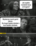1587571272747.png