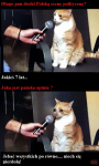 oLPAaqUfiqsyuUoEPrqAtoE5WJS0airl.png