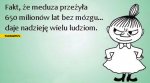 fakt-ze-meduza-przezyla-650-lat-bez-mozgu-daje-nadzieje-wielu-ludziom.jpg