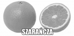 1590419865218.png