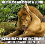 1591445291291.png