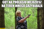 1598694129417.png