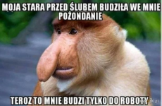 1607851059713.png