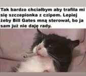 FB_IMG_16084050223228702.jpg