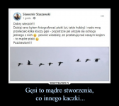1612090786532.png