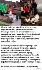 1612452828027.png