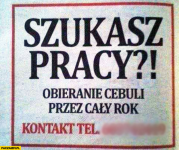 1612469332246.png
