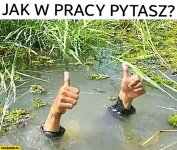 jak-tam-w-pracy-pytasz-wszystko-okej-caly-pod-woda-tylko-rece-kciuki-wystaja.jpg