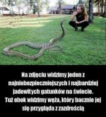 1629658048618.jpeg