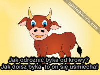1633600126589.png