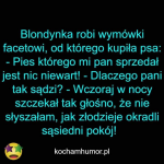 1665910500319.png