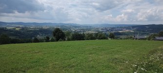 IMG_20230729_122105831.jpg