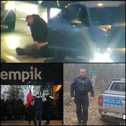 nszzp.pl