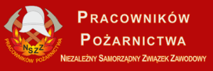 Niezależny