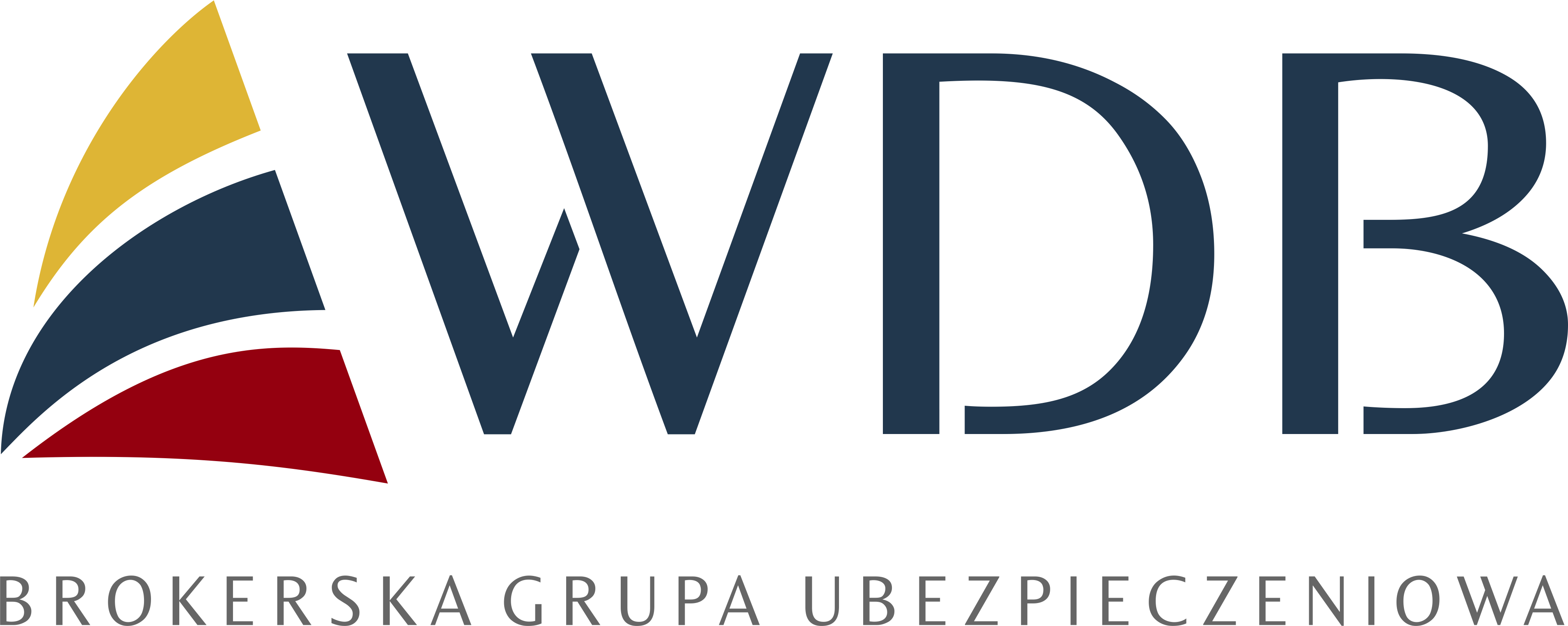 WDB - Programy ubezpieczeniowe